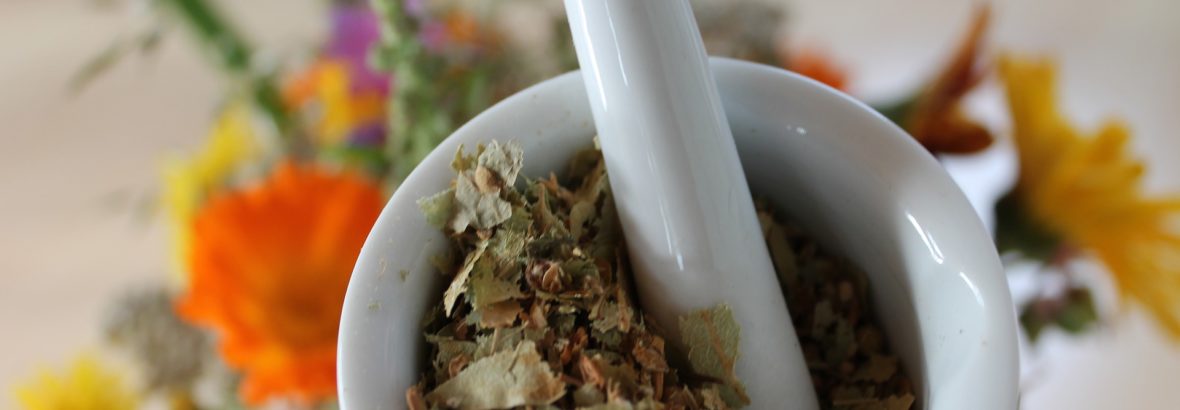 Atelier alcoolature, macérât huileux et baume